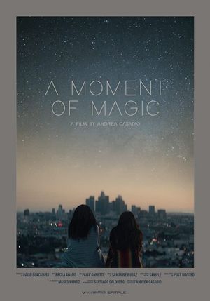 A Moment of Magic's poster