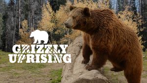 Grizzly Uprising's poster