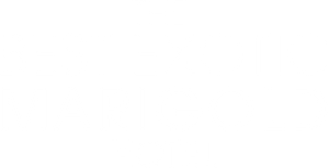 The Best Exotic Marigold Hotel's poster
