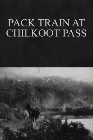 Pack Train at Chilkoot Pass's poster