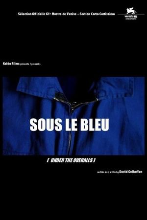 Sous le bleu's poster