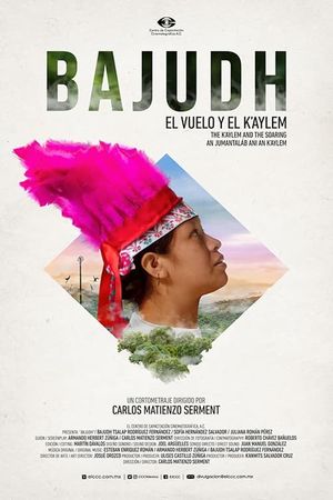 Bajudh's poster image