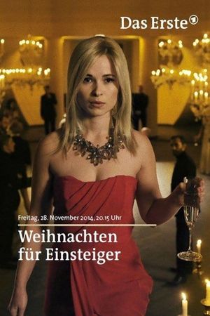 Weihnachten für Einsteiger's poster