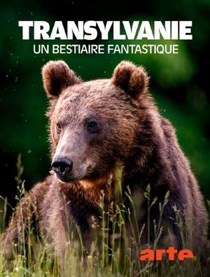 Transylvanie, un bestiaire fantastique's poster