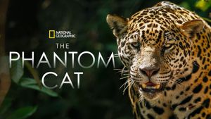 The Phantom Cat: Jaguar's poster