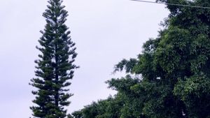Evangelio (Gospel)'s poster
