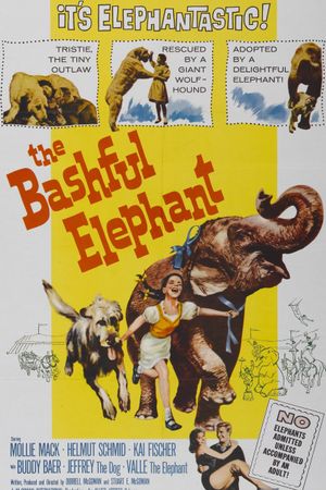 The Bashful Elephant's poster