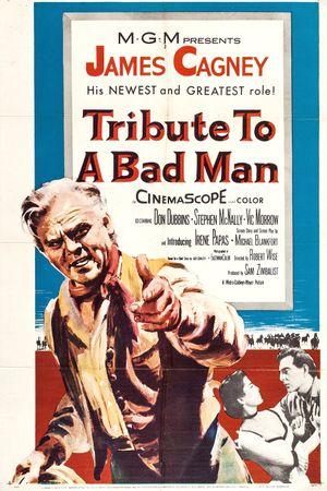 Tribute to a Bad Man's poster