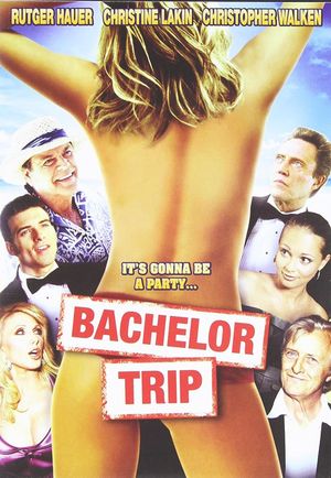 Bachelor Trip's poster