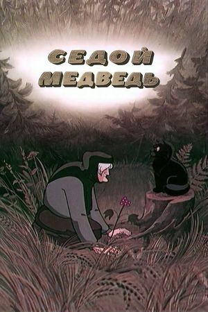 The Gray-Haired Bear's poster