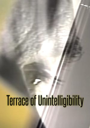 Terrace of Unintelligibility's poster