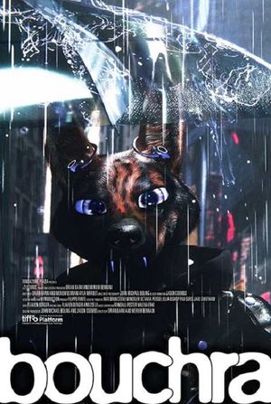 Bouchra's poster image