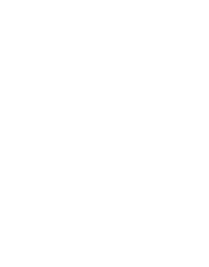 Aruvi's poster