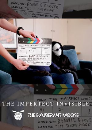 The Imperfect Invisible's poster