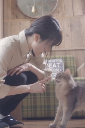 Cat Cafe's poster
