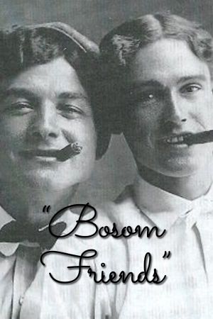 Bosom Friends's poster