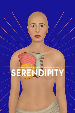 Serendipity's poster