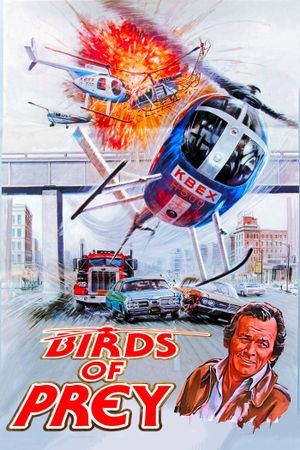 Birds of Prey's poster