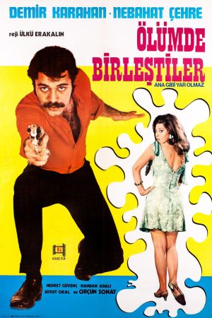 Ana Gibi Yar Olmaz's poster