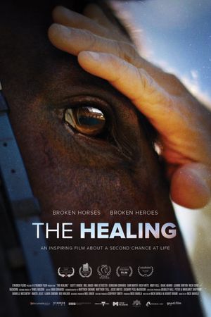The Healing's poster