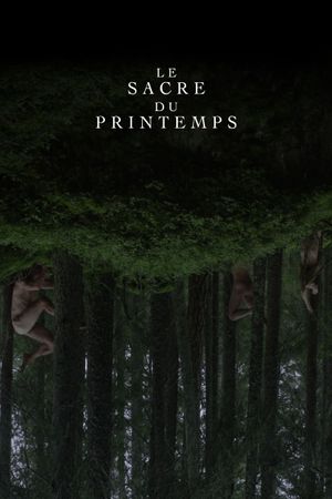Le Sacre Du Printemps (Tandvarkstallen)'s poster