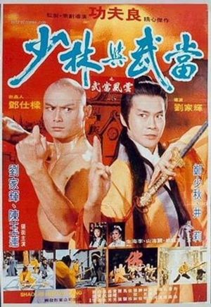 Shaolin and Wu Tang's poster image