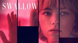 Swallow's poster