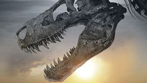 Dinosaur 13's poster