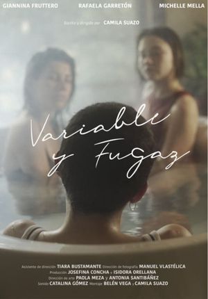 Variable and Fleeting's poster