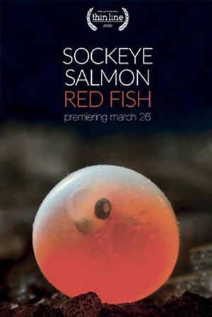 Sockeye Salmon, Red Fish's poster