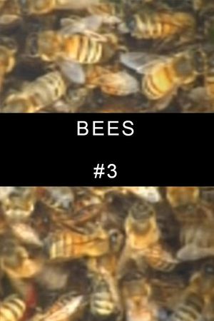 Bees #3's poster