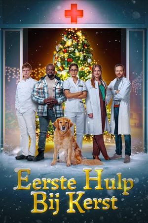 Eerste Hulp Bij Kerst's poster