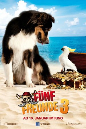 Fünf Freunde 3's poster