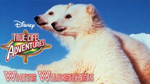 White Wilderness's poster