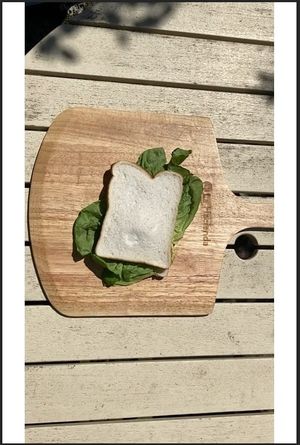 The Sandwich's poster