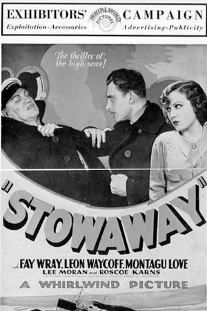 Stowaway's poster image