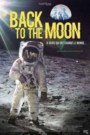 Back to the Moon's poster