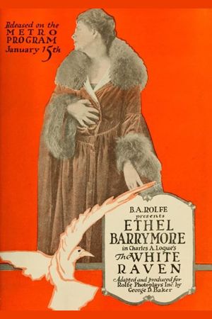 The White Raven's poster