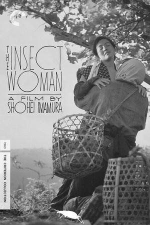 The Insect Woman's poster
