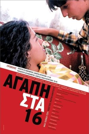 Love at 16's poster