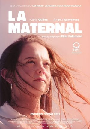 Motherhood's poster