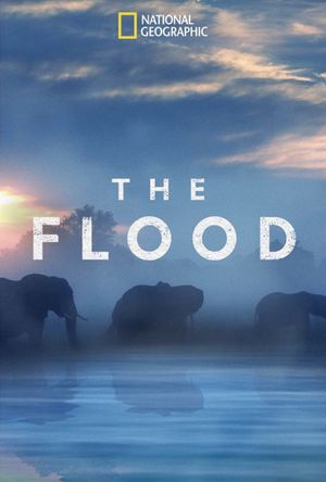 The Flood's poster