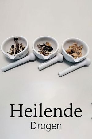 Les psychédéliques, des drogues qui soignent's poster