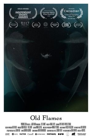 Old Flames's poster