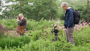 Five Seasons: The Gardens of Piet Oudolf's poster