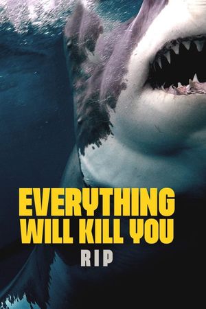 EVERYTHING WILL KILL YOU - RIP's poster