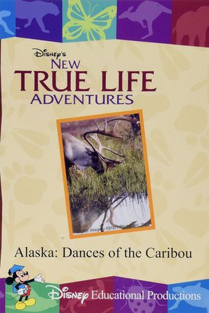 Alaska: Dances of the Caribou's poster image