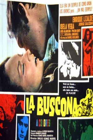 La buscona's poster