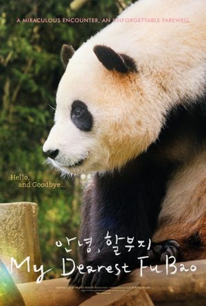 My Dearest Fu Bao's poster