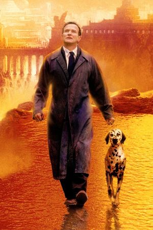 What Dreams May Come's poster